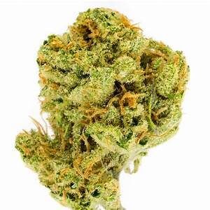 Lemon Kush