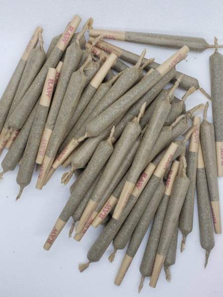 House Pre-Roll XL 50pcs - 420Now Weed Delivery