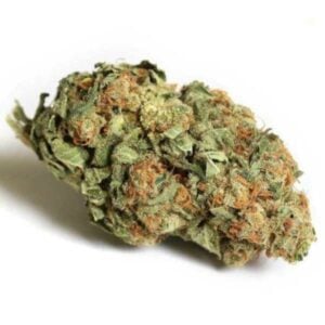 strawberry ice strain