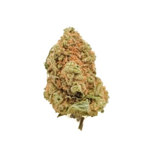 Killer Skunk