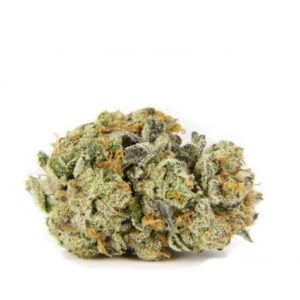 Grease Monkey AAAA