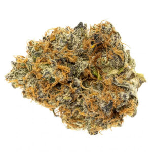 Variété de cannabis DO-SI-DOS