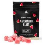 Buudabomb Watermelon Blast THC Gummy Package