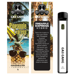 Gas Gang Pineapple Express Stylo vape et emballage