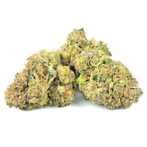 astro pink cannabis strain flower
