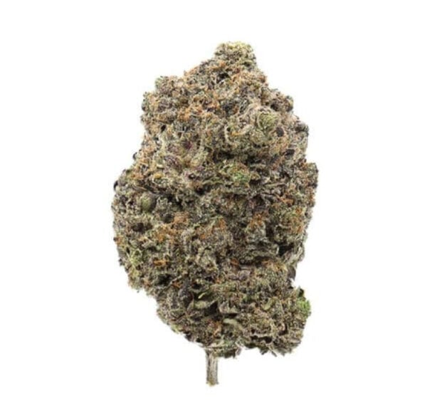 Variété de cannabis El Chapo