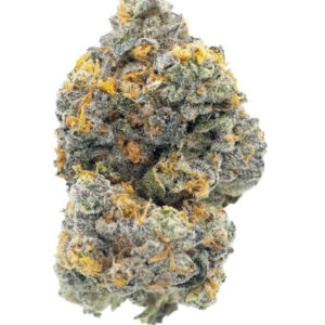 gary payton cannabis strain