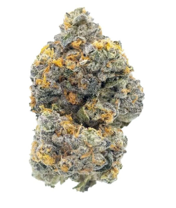 gary payton cannabis strain