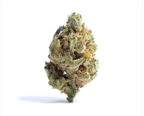 Variété de cannabis Grandmommy Purple Indica