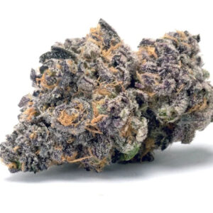 Variété de cannabis Jealousy
