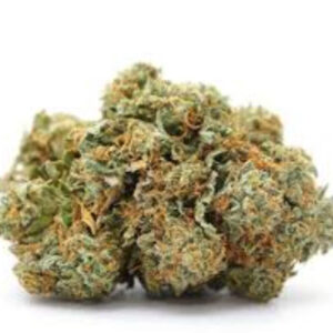 Variété de cannabis King Louis Indica
