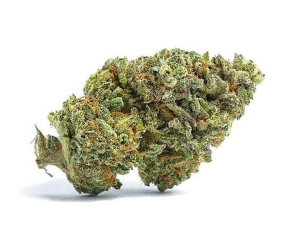Variété de cannabis Sour Garlic