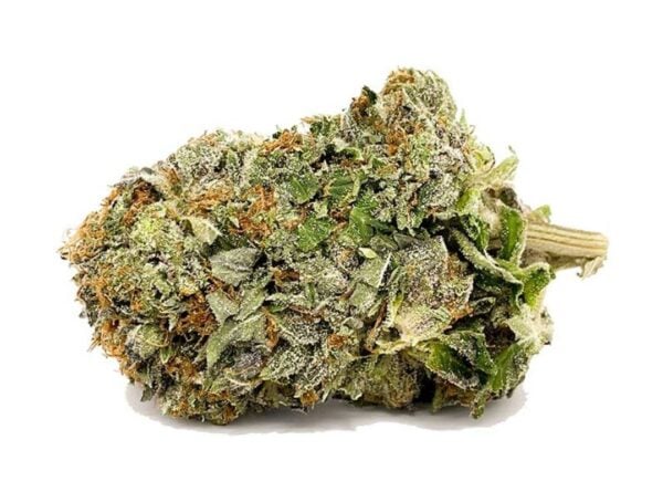 tuna kush strain