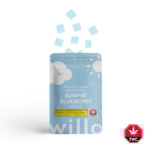 willo bumpin blueberry gummies