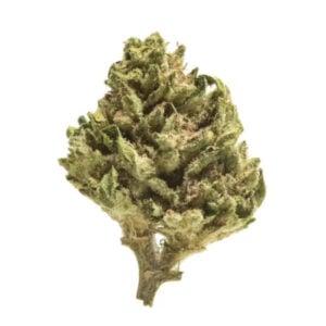 khalifa kush strain