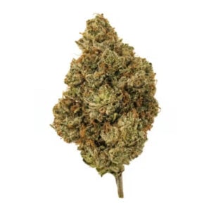 orange slushie strain