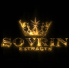sovrin cartridge logo