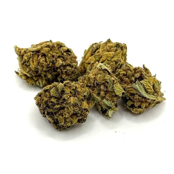 Variété de cannabis Pink Alien