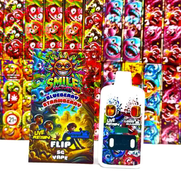 Stylo à vape double de marque Smile Factory aux saveurs de bleuet et de fraise